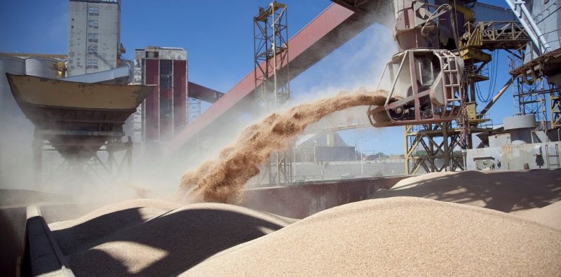 En el punto medio del año de comercialización internacional de la harina de soja, en el mundo las exportaciones de harina de soja de los principales exportadores han reflejado una disminución general en la demanda